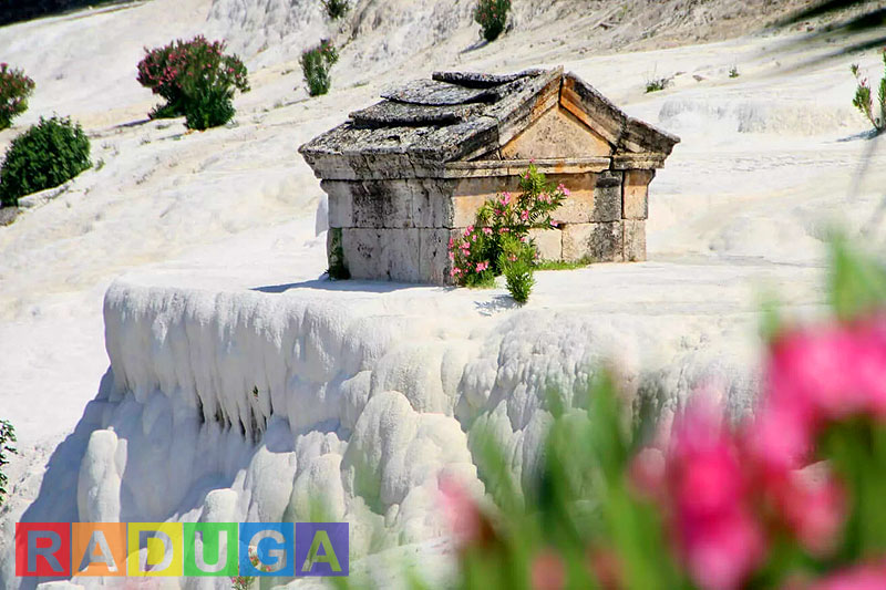 Экскурсия в Памуккале из Бодрума Фото и Цена  Бассейн Клеопатры 